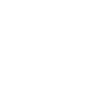 bailus law logo footer 1